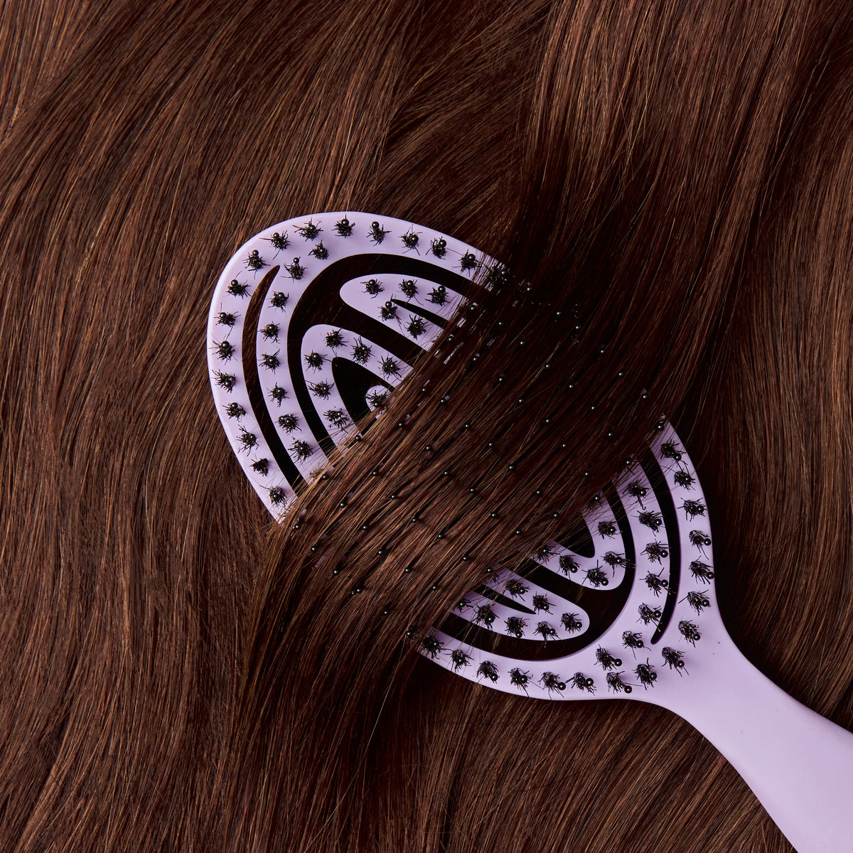 The Boar's Hair Wellness Brush - Korean Lilac